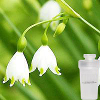 Euroclean