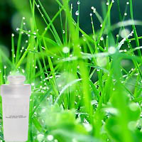 Green Grass